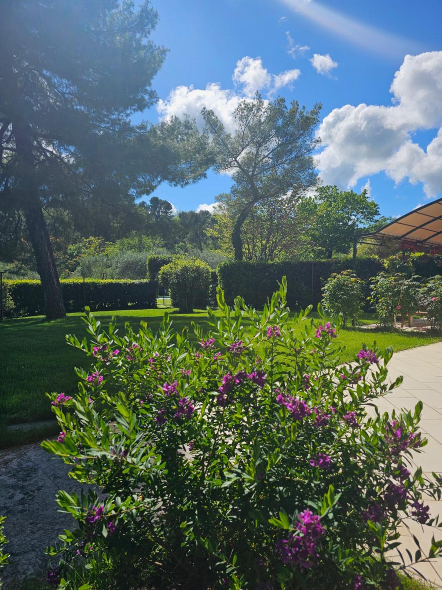 Villa Monacelli B&B Фано Экстерьер фото